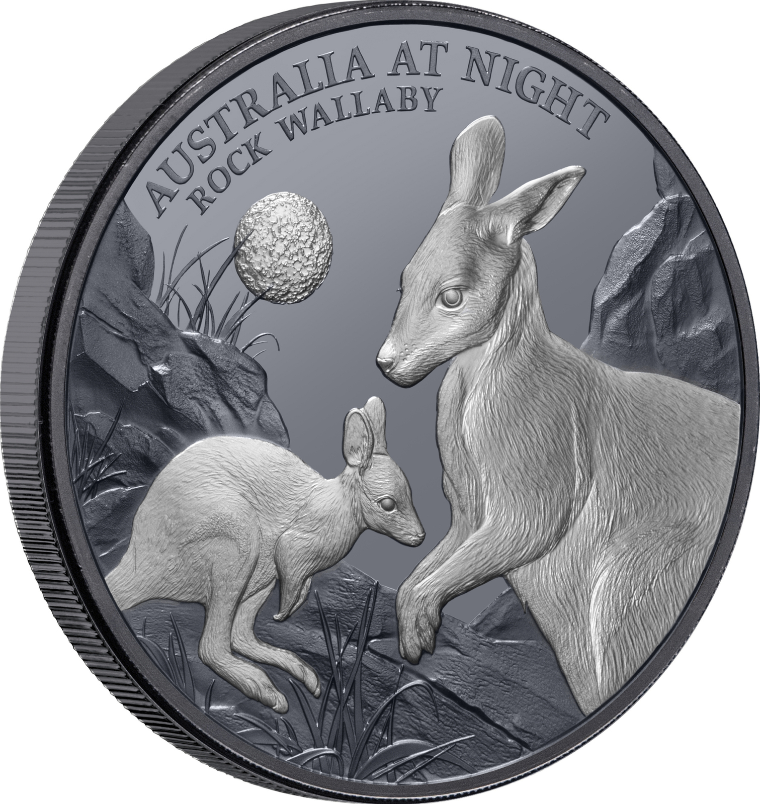 2024 $1 Australia at Night Rock Wallaby 1oz Silver Black Proof Coin