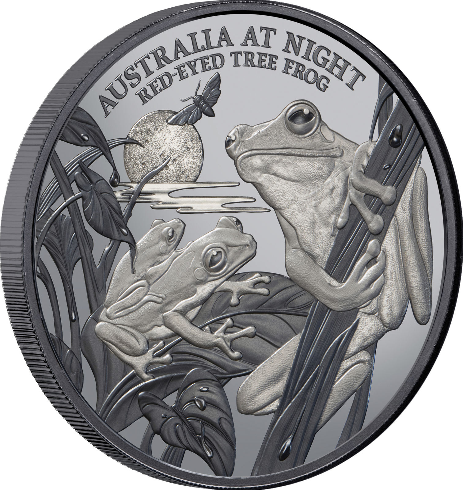 2024 $1 Australia at Night Red-eyed Tree Frog 1 Oz Silver Black Proof Coin