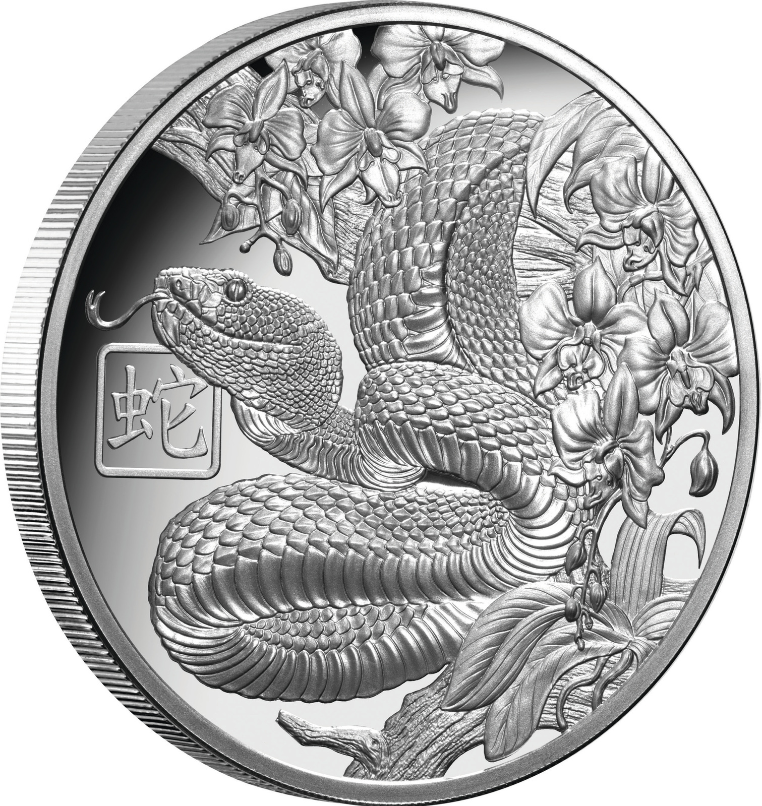 2025 $1 Lunar Snake 1oz Silver Proof Coin