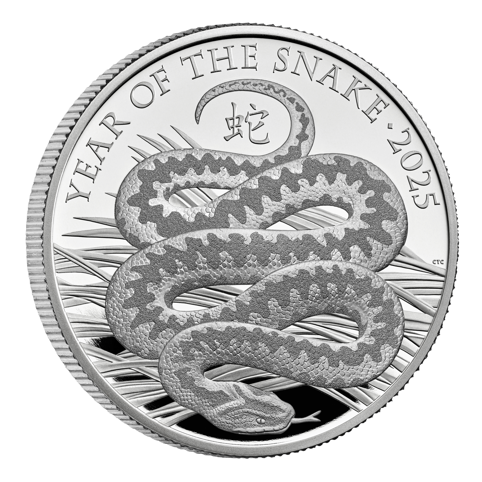 2025 Lunar Year of the Snake UK 1oz Silver Proof Coin