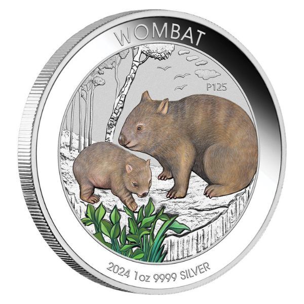 2024 Australian Wombat 1oz Silver Coloured Coin in Card