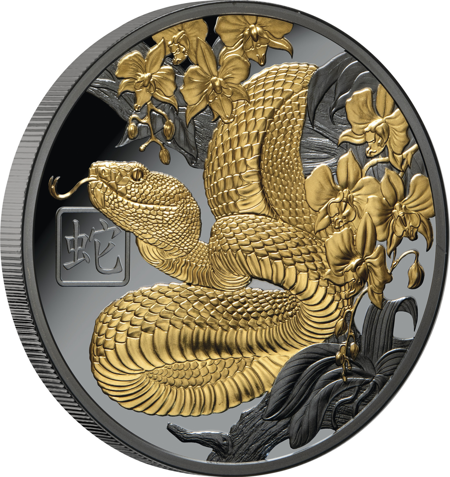 2025 $1 Lunar Year of the Snake 1 OZ Gold Plated Silver Black Proof Coin 