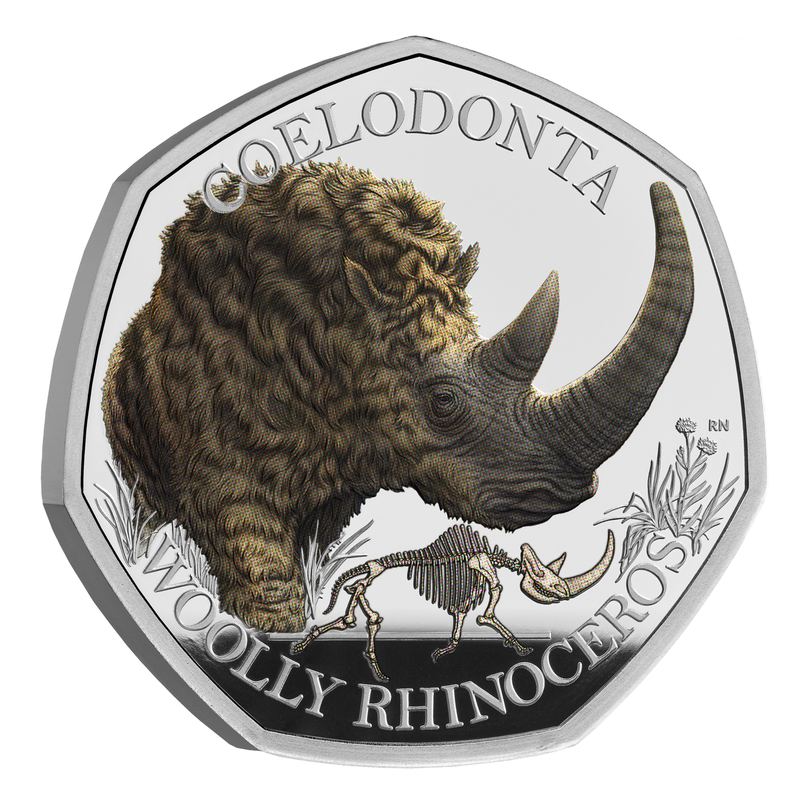  2024 50p Ice Age Giants Woolly Rhinoceros UK Silver Proof Colour Coin