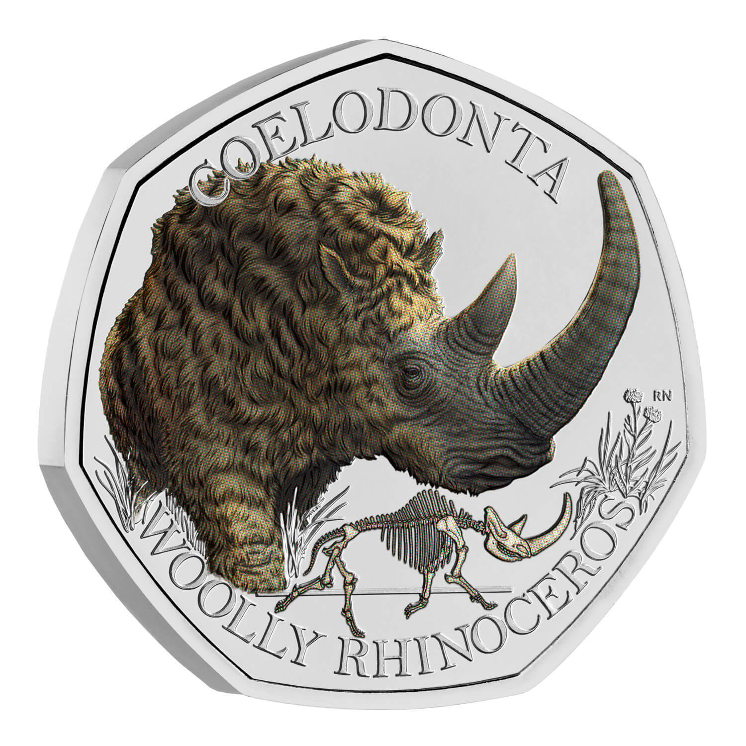 2024 50p Woolly Rhinoceros UK Brilliant Uncirculated Colour Coin