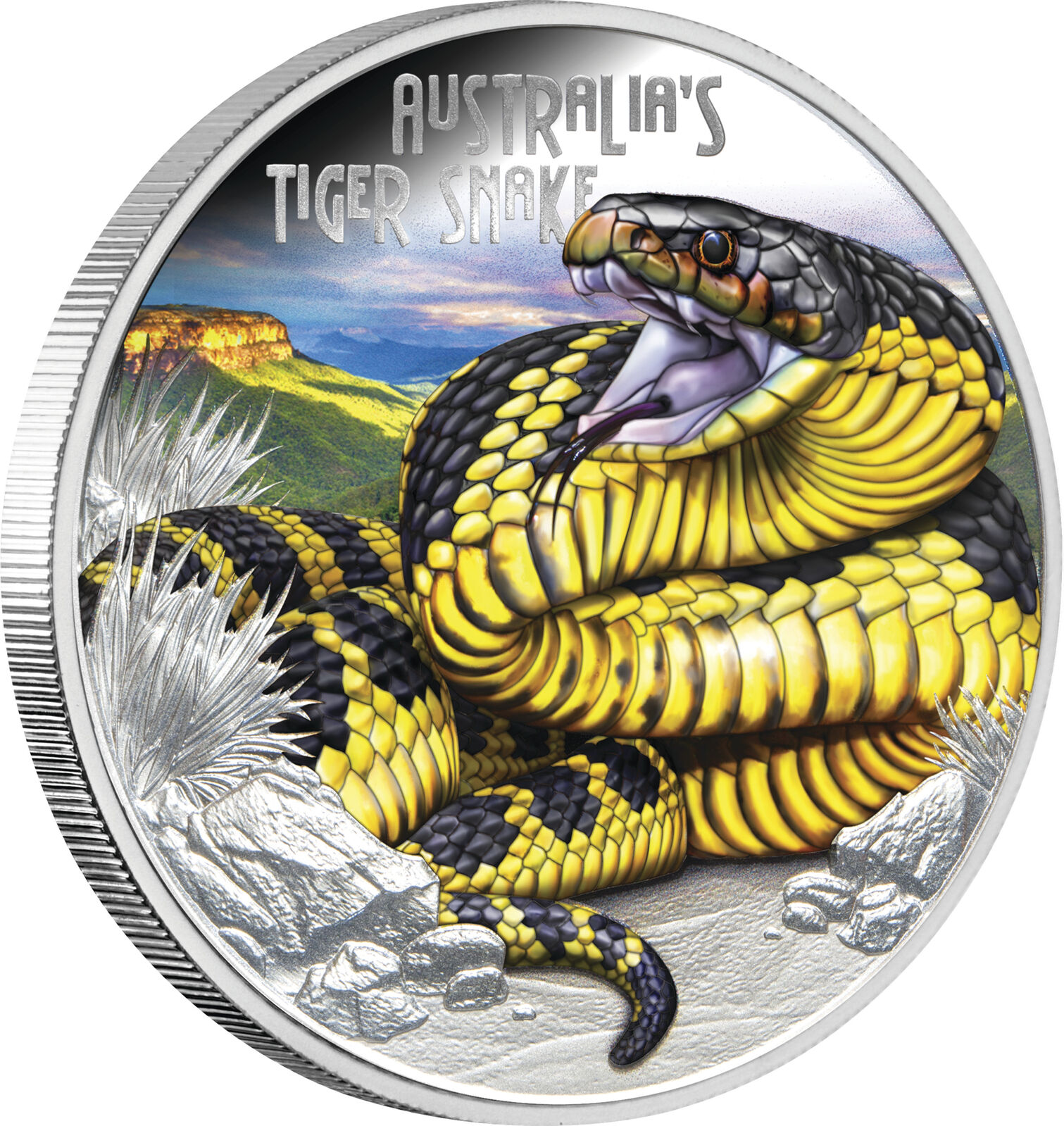 2025 $1 Deadly and Dangerous Tiger Snake 1 Oz Silver Proof Coin