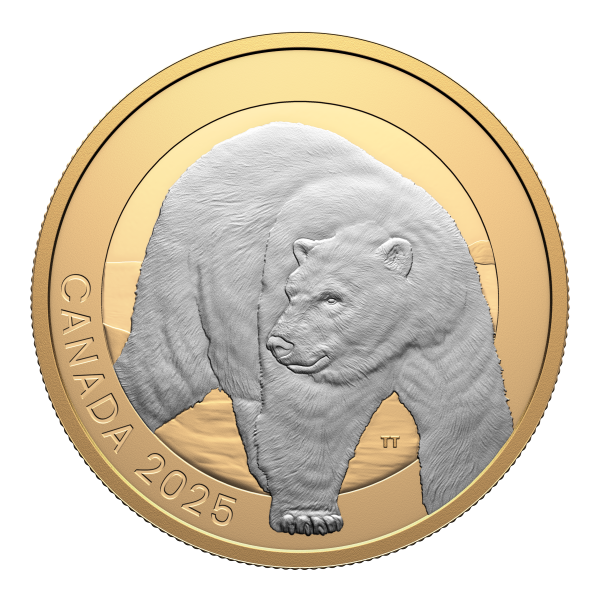 2025 $20 Polar Bear - Animal Portraits Selectively Gold Plated Fine Silver Coin  