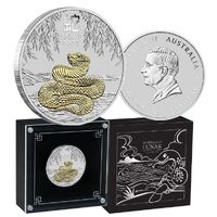 2025 Year of the Snake 1 Oz Silver Gilded Coin