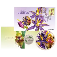 2025 Native Orchids PMC