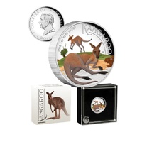 2025 $1 Australian Kangaroo 1oz Silver Proof High Relief Coloured Coin