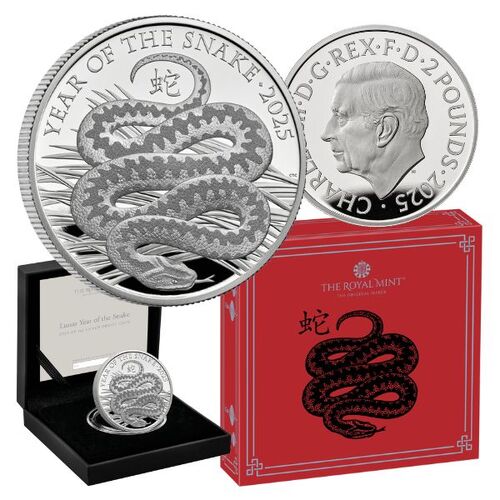 2025 Lunar Year of the Snake UK 1oz Silver Proof Coin