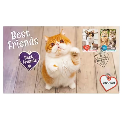 Best Friends Cat Medallion Cover