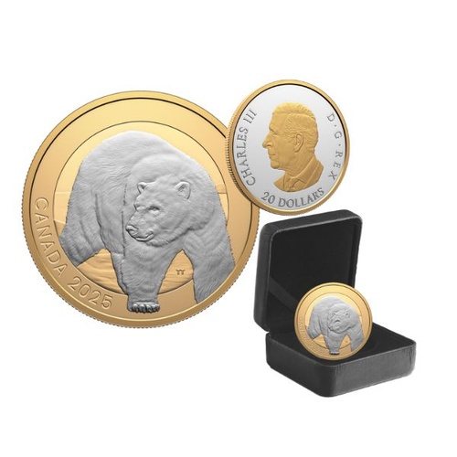 2025 $20 Polar Bear - Animal Portraits Selectively Gold Plated Fine Silver Coin  